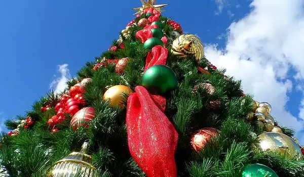 Geschmückter Weihnachtsbaum unter blauem Himmel