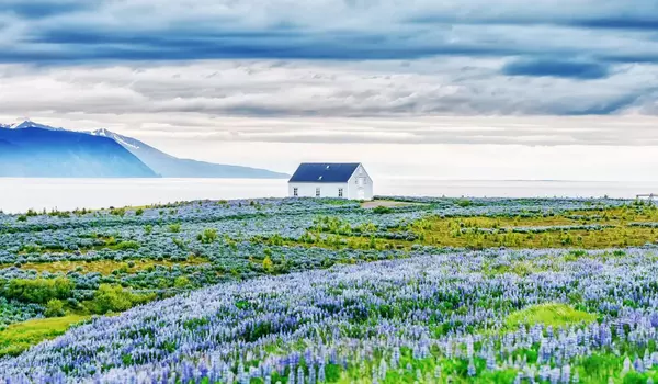 Haus mitten in der Natur 